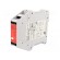 Module: safety relay | 24VAC | 24VDC | IN: 2 | for DIN rail mounting image 1