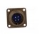 Connector: circular | Series: 97 | socket,plug | male | PIN: 4 | 13A image 9