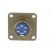 Connector: circular | Series: 97 | socket | female | PIN: 6 | soldering фото 4
