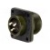 Connector: circular | Series: DS/MS | socket | female | PIN: 3 | 13A фото 1