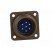 Connector: circular | socket | PIN: 7 | male | soldering | 97 | 13A | olive image 9
