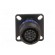 Connector: military | socket | female | PIN: 13 | size 11 | black | 5A image 9