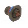 Connector: military | socket | male | PIN: 13 | size 11 | olive | crimped image 4