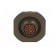 Connector: military | size 11 | MIL-DTL-38999 Series III | olive image 5