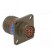 Connector: military | socket | male | PIN: 13 | size 11 | olive | crimped paveikslėlis 4