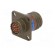 Connector: military | socket | male | PIN: 13 | size 11 | olive | crimped paveikslėlis 6