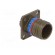 Connector: military | socket | male | PIN: 13 | size 11 | olive | crimped paveikslėlis 8