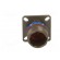 Connector: military | socket | male | PIN: 13 | size 11 | olive | crimped image 9