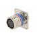 Connector: military | socket | female | PIN: 13 | size 11 | silver | 5A image 2