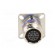 Connector: military | socket | female | PIN: 13 | size 11 | silver | 5A image 9
