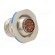 Connector: military | socket | female | PIN: 10 | size 13 | silver | 7.5A paveikslėlis 4