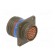 Connector: military | socket | male | PIN: 37 | size 15 | olive | crimped paveikslėlis 4