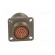 Connector: military | socket | male | PIN: 37 | size 15 | olive | crimped paveikslėlis 5