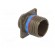 Connector: military | socket | male | PIN: 37 | size 15 | olive | crimped paveikslėlis 8
