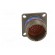 Connector: military | socket | male | PIN: 37 | size 15 | olive | crimped paveikslėlis 9