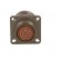 Connector: military | socket | female | PIN: 37 | size 15 | olive | 5A paveikslėlis 5