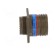 Connector: military | socket | female | PIN: 37 | size 15 | olive | 5A paveikslėlis 7