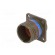 Connector: military | socket | male | PIN: 37 | size 15 | olive | crimped paveikslėlis 2