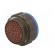 Connector: military | plug | female | PIN: 61 | size 25 | olive | crimped paveikslėlis 6