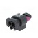 Connector: automotive | MCON 1.2 | female | plug | for cable | PIN: 2 image 6
