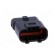 Connector: wire-wire | 565,E-Seal | plug | male | PIN: 5 | IP67 | 16.6mm paveikslėlis 9
