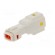 Connector: wire-wire | 565,E-Seal | plug | male | IP67 | Locking: latch фото 6