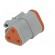 Connector: wire-wire | AT | plug | female | PIN: 3 | IP67 | Locking: latch image 6