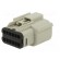 Connector: wire-wire | MX150 | female | plug | for cable | -40÷125°C paveikslėlis 6