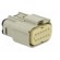 Connector: wire-wire | MX150 | female | plug | for cable | -40÷125°C paveikslėlis 8