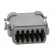 Connector: wire-wire | PX0 | female | plug | for cable | PIN: 12 | grey paveikslėlis 9