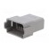 Connector: wire-wire | PX0 | male | plug | for cable | PIN: 12 | grey | IP68 image 2