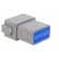 Connector: wire-wire | PX0 | male | plug | for cable | PIN: 12 | grey | IP68 image 4