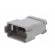Connector: wire-wire | PX0 | male | plug | for cable | PIN: 12 | grey | IP68 image 2