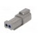 Connector: wire-wire | PX0 | male | plug | for cable | PIN: 2 | grey | IP68 image 6