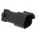Connector: wire-wire | PX0 | male | plug | for cable | PIN: 3 | black | IP68 image 8