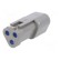 Connector: wire-wire | PX0 | male | plug | for cable | PIN: 3 | grey | IP68 image 6