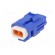 Connector: wire-wire/PCB | 565,E-Seal | plug | female | IP67 | blue image 2