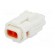 Connector: wire-wire/PCB | 565,E-Seal | plug | female | IP67 | white image 6