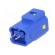 Connector: wire-wire/PCB | 565,E-Seal | socket | male | IP67 | THT | blue image 6