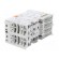Module: mains | 48x100x70.9mm | IP20 | 1A | for DIN rail mounting фото 4