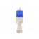 Signaller: lighting-sound | 24VDC | xenon arc lamp | blue | IP54 image 1