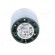 Signaller: lighting | LED | white | Usup: 24VDC | Usup: 24VAC | IP65 image 9