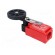 Limit switch | adjustable lever R 31-65mm, rubber rollerØ50mm paveikslėlis 4
