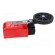 Limit switch | adjustable lever R 31-65mm, rubber rollerØ50mm image 7