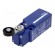 Limit switch | lever R 35,5mm, plastic roller Ø19mm | NO + NC image 1