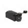 Limit switch | lever R 40mm, plastic roller Ø20mm, double | 10A paveikslėlis 4