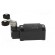 Limit switch | lever R 40mm, plastic roller Ø20mm, double | 10A paveikslėlis 7