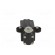 Limit switch | lever R 40mm, plastic roller Ø20mm, double | 10A paveikslėlis 5