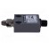 Limit switch | oblong metal roller Ø12,4mm | SPDT | 3A | max.250VAC paveikslėlis 3