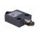 Limit switch | oblong metal roller Ø12,4mm | SPDT | 3A | max.250VAC paveikslėlis 8
